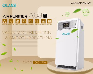 olansi K03C3 air purifier supplier